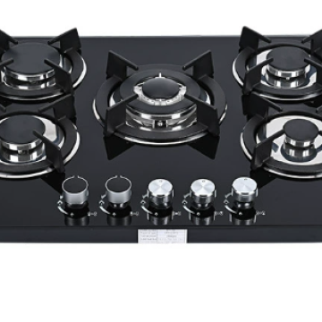 Gas stove